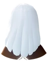 O Cabelo (trás)