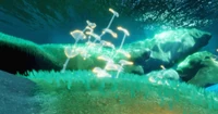 Aquatic recharging plants in Treasure Reef