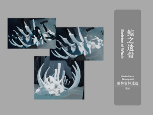 Museum-SkeletonofWhale.png
