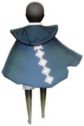 Season of little prince cape slouching back