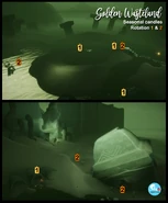 Wasteland Rotation 1 & 2