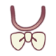 Comfort-of-Kindness-Neck-Accessory-icon