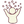 Confetti Cousin