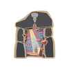 Pin da Caverna das Profecias
