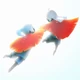 Sky-app-icon-2019-1