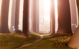 Sky END OF FOREST.jpg