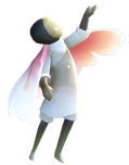 Blossom cape open v2