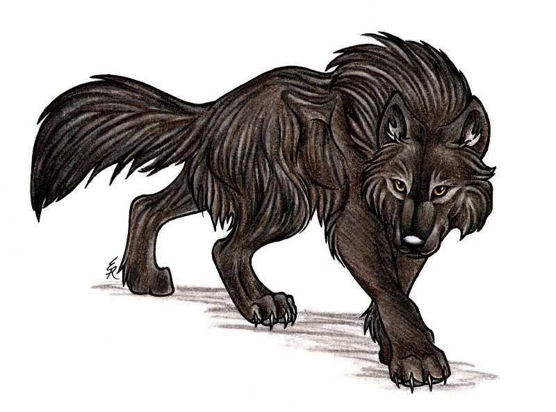 Werewolves Sky Haven Lore Wikia Fandom