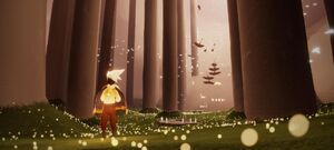 Sky END OF FOREST.jpg