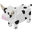 Cow Render 2000x2000.png