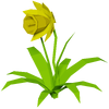 Daffodil Render 2000x2000