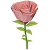 Pink Rose Render 2000x2000