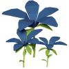 Blue Hibiscus Render 2000x2000