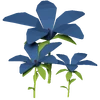 Blue Hibiscus Render 2000x2000