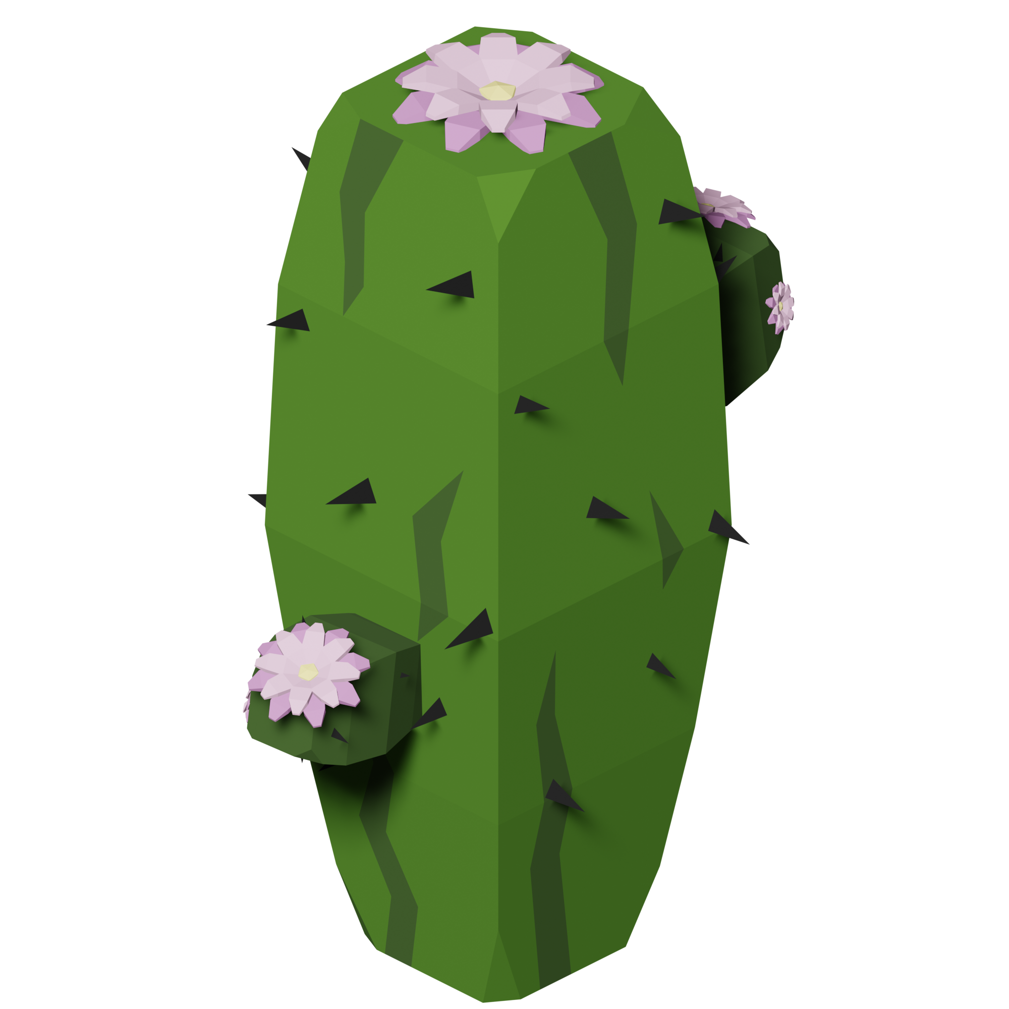 Cactus Islands Wiki Fandom - roblox cactus player