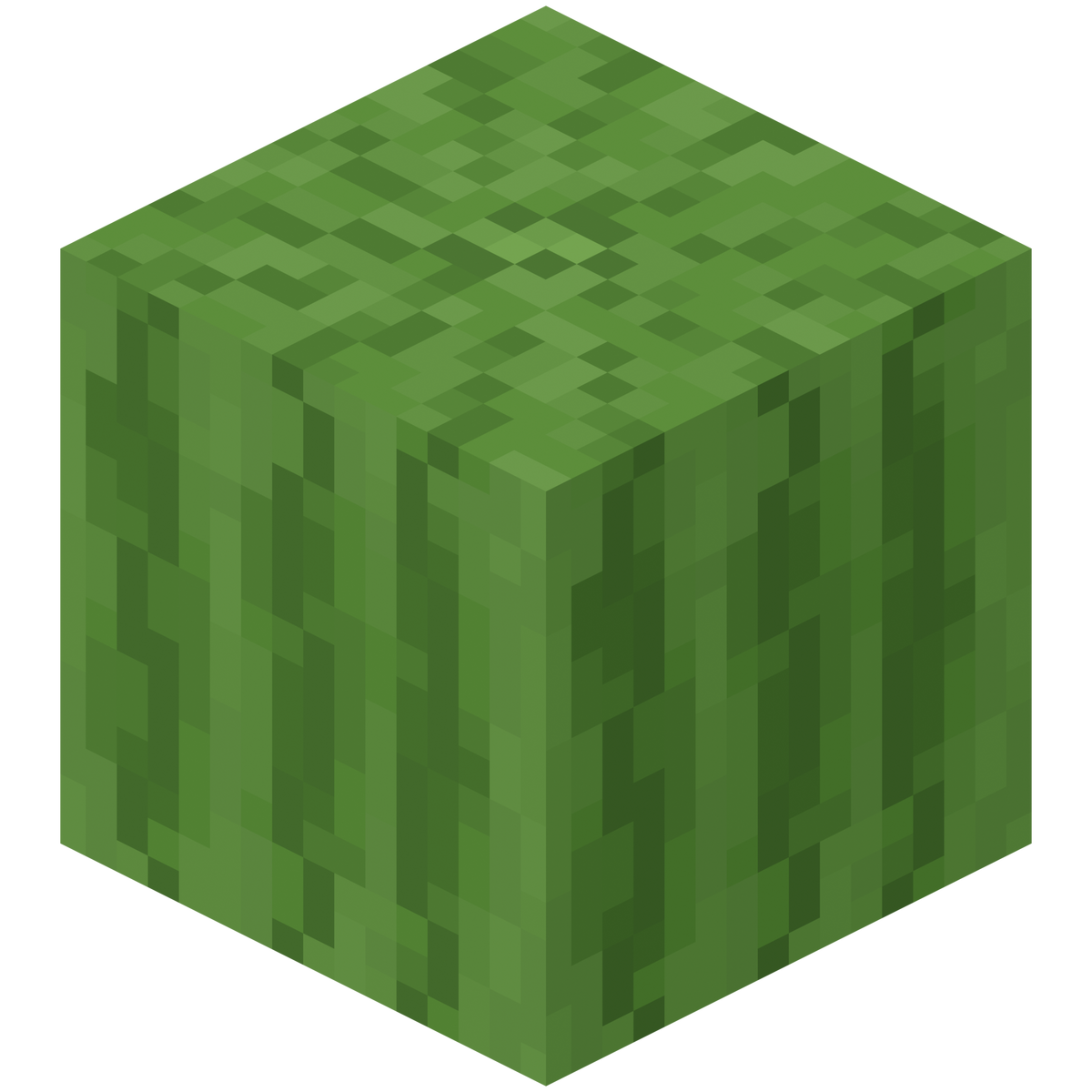 An awesome Minecraft Birthday party! Minecraft birthday party, Minecraft birthda