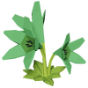 Dark Green Lily Render 2000x2000