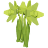 Light Green Daffodil Render 2000x2000