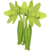 Light Green Daffodil Render 2000x2000
