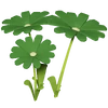 Dark Green Daisy Render 2000x2000