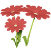 Red Daisy Render 2000x2000