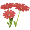 Red Daisy Render 2000x2000