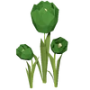 Dark Green Tulip Render 2000x2000