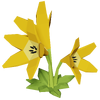 Yellow Lily Render 2000x2000