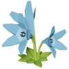 Cyan Lily Render 2000x2000