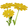 Yellow Daisy Render 2000x2000