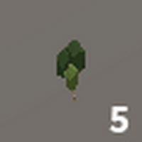 birch wood roblox skyblock Birch Sapling Skyblox Wiki Fandom