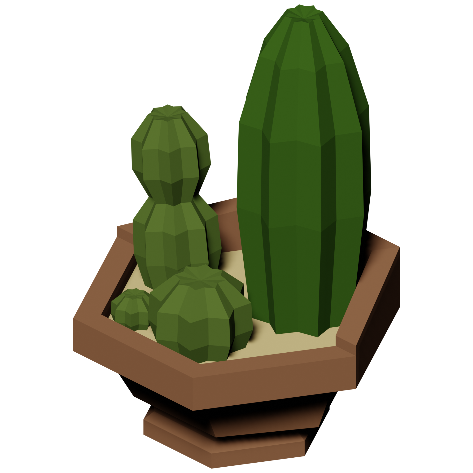 Cactus - Wikipedia