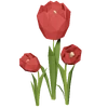 Red Tulip Render 2000x2000