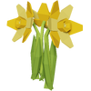 Yellow Daffodil Render 2000x2000