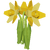 Yellow Daffodil Render 2000x2000.png