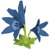 Blue Lily Render 2000x2000