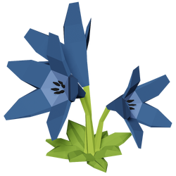 Blue lily - Wikipedia