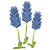 Blue Hyacinth Render 2000x2000
