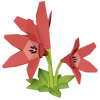 Red Lily Render 2000x2000