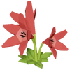 Red Lily Render 2000x2000