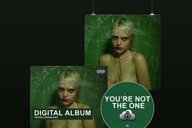 Night Time, My Time (album) | Sky Ferreira Wiki | Fandom