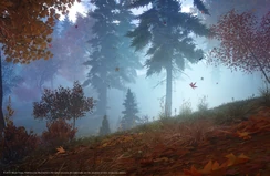 Aelion | Skyforge Wiki | Fandom