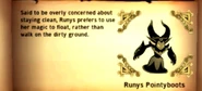 Runys Pointyboots Nightmare Page