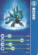 Echo card