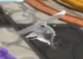CrystalChopper