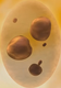 The Eternal Earth Source.png