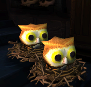 Owls in their nests