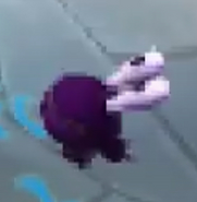 Idle Shadow Chompy