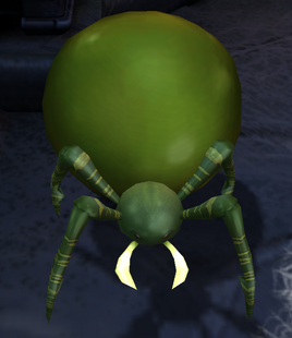 FatBellySpiderSSA