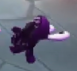ShadowChompy